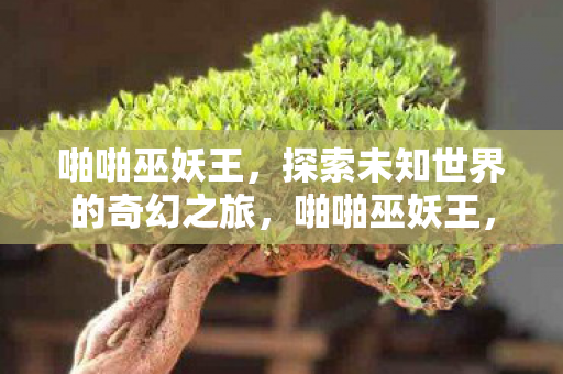 啪啪巫妖王，探索未知世界的奇幻之旅，啪啪巫妖王，探索未知世界的奇幻之旅