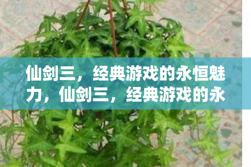 仙剑三,经典游戏的永恒魅力,仙剑三,经典游戏的永恒魅力 仙剑三,经典游戏的永恒魅力,仙剑三,经典游戏的永恒魅力