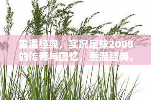 实况足球2008的传奇与回忆图片