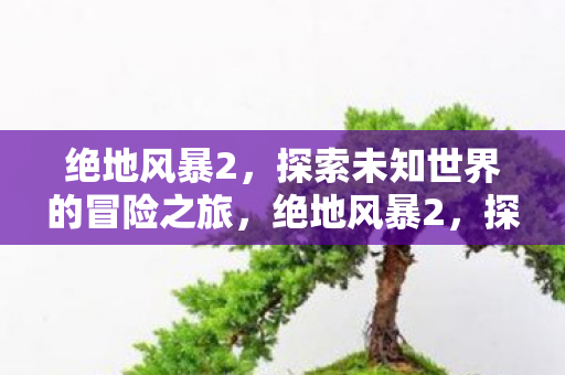绝地风暴2，探索未知世界的冒险之旅，绝地风暴2，探索未知世界的惊险之旅