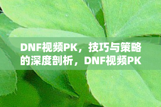 技巧与策略的深度剖析图片