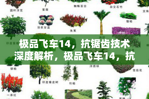 抗锯齿技术深度解析图片