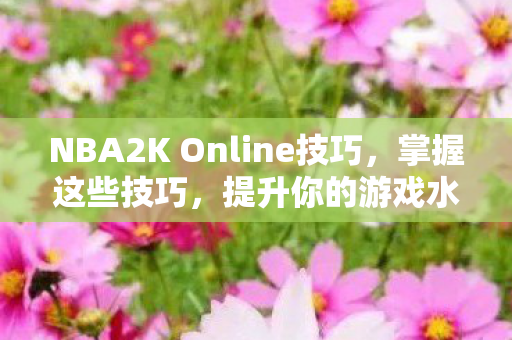 掌握NBA2K Online技巧图片