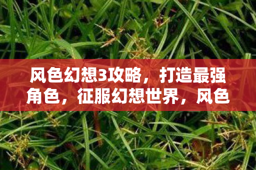 风色幻想3攻略,打造最强角色,征服幻想世界,风色幻想3,打造最强角色,征服幻想世界攻略 风色幻想3攻略,打造最强角色,征服幻想世界,风色幻想3,打造最强角色,征服幻想世界攻略