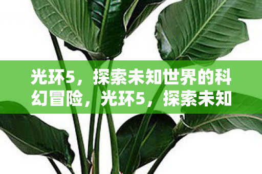光环5，探索未知世界的科幻冒险，光环5，探索未知世界的科幻冒险之旅
