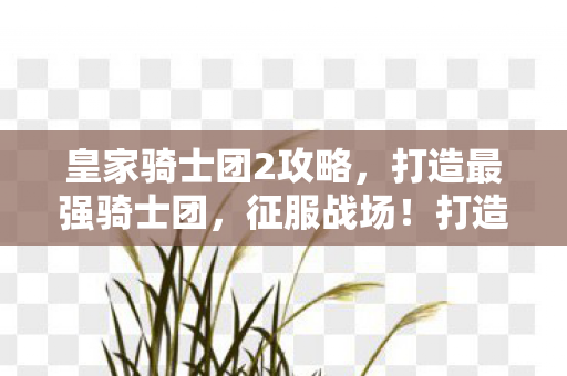 皇家骑士团2攻略,打造最强骑士团,征服战场!打造最强骑士团,皇家骑士团2攻略与征服战场指南 皇家骑士团2攻略,打造最强骑士团,征服战场!打造最强骑士团,皇家骑士团2攻略与征服战场指南