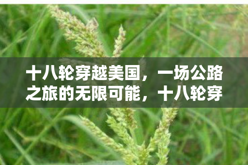 一场公路之旅的无限可能图片