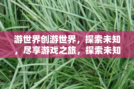 游世界创游世界,探索未知,尽享游戏之旅,探索未知,游戏之旅的无限可能 游世界创游世界,探索未知,尽享游戏之旅,探索未知,游戏之旅的无限可能
