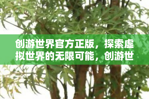 创游世界官方正版,探索虚拟世界的无限可能,创游世界官方正版,探索虚拟世界的无限可能 创游世界官方正版,探索虚拟世界的无限可能,创游世界官方正版,探索虚拟世界的无限可能
