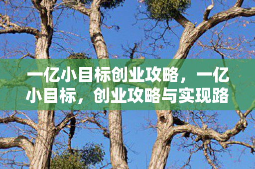 一亿小目标创业攻略图片