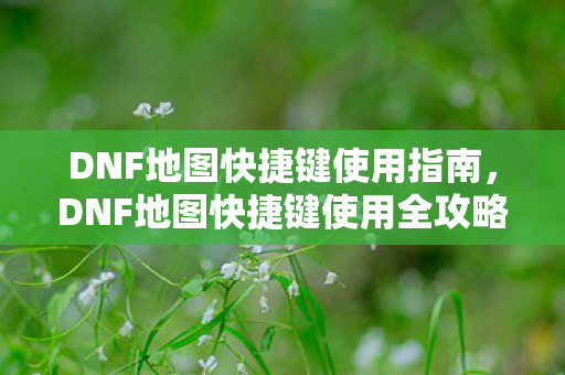 DNF地图快捷键使用指南,DNF地图快捷键使用全攻略 DNF地图快捷键使用指南,DNF地图快捷键使用全攻略