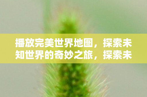 播放完美世界地图,探索未知世界的奇妙之旅,探索未知世界的奇妙之旅,播放完美世界地图 播放完美世界地图,探索未知世界的奇妙之旅,探索未知世界的奇妙之旅,播放完美世界地图