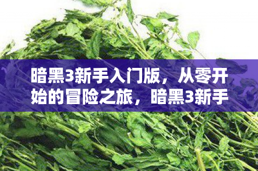 从零开始的冒险之旅图片