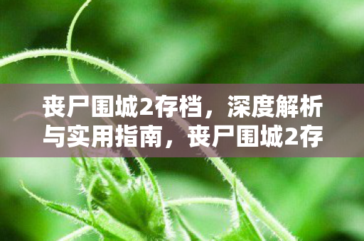 丧尸围城2存档，深度解析与实用指南，丧尸围城2存档解析与实战指南，打造你的生存之路