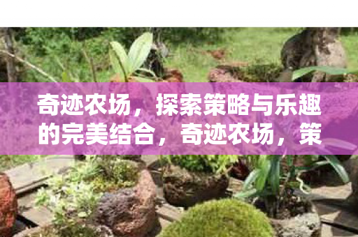 探索策略与乐趣的完美结合图片