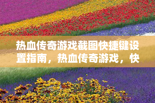 热血传奇游戏截图快捷键设置指南，热血传奇游戏，快速掌握截图快捷键设置