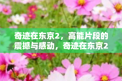 高能片段的震撼与感动图片