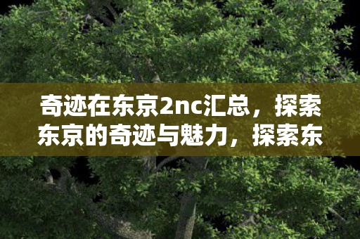 2nc汇总呈现城市魅力图片