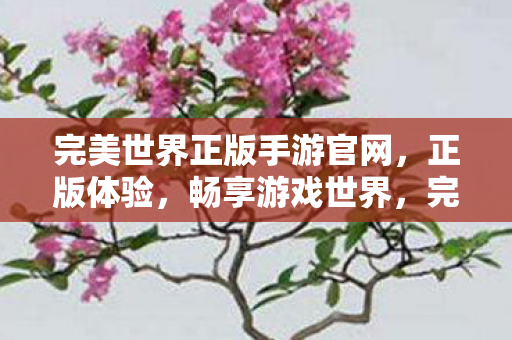 完美世界正版手游官网图片