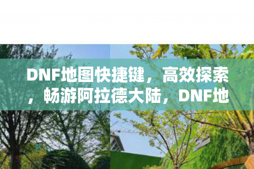 DNF地图快捷键,高效探索,畅游阿拉德大陆,DNF地图快捷键,高效探索,畅游阿拉德大陆 DNF地图快捷键,高效探索,畅游阿拉德大陆,DNF地图快捷键,高效探索,畅游阿拉德大陆