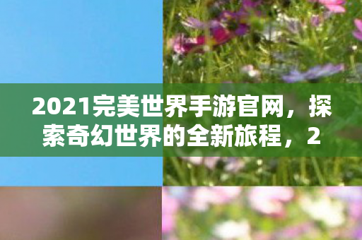 2021完美世界手游官网图片