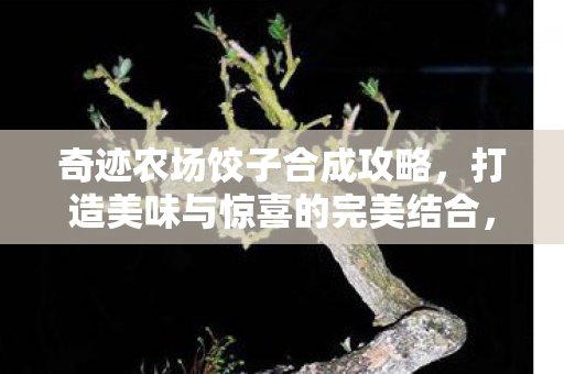 打造美味与惊喜的完美结合图片