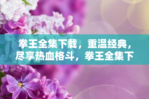 拳王全集下载图片