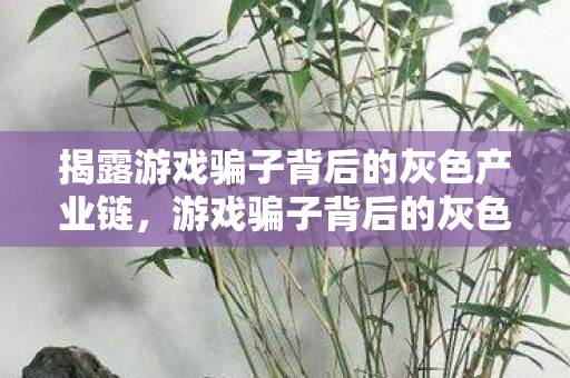 揭露游戏骗子背后的灰色产业链图片