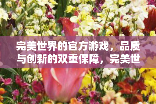 完美世界的官方游戏,品质与创新的双重保障,完美世界官方游戏,品质与创新双重保障 完美世界的官方游戏,品质与创新的双重保障,完美世界官方游戏,品质与创新双重保障