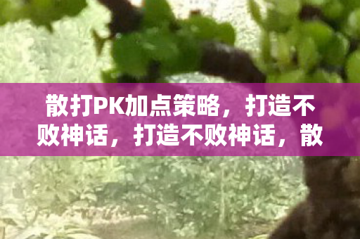 散打PK加点策略图片