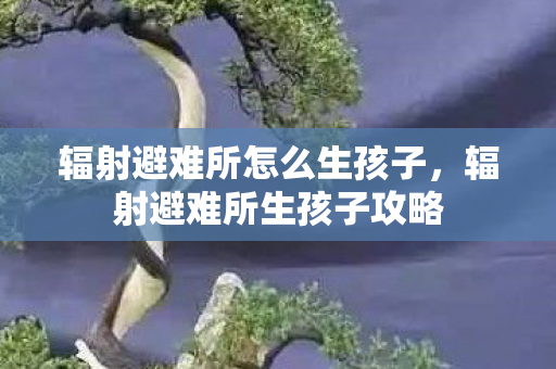 辐射避难所怎么生孩子图片