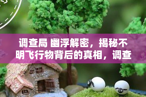 揭秘不明飞行物背后的真相图片