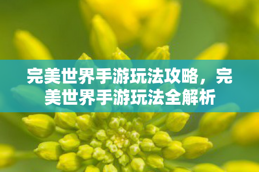 完美世界手游玩法攻略,完美世界手游玩法全解析 完美世界手游玩法攻略,完美世界手游玩法全解析