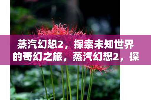 探索未知世界的奇幻之旅图片