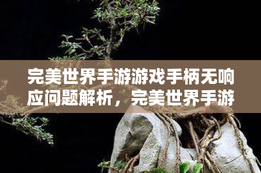 完美世界手游游戏手柄无响应问题解析,完美世界手游手柄无响应问题解析 完美世界手游游戏手柄无响应问题解析,完美世界手游手柄无响应问题解析