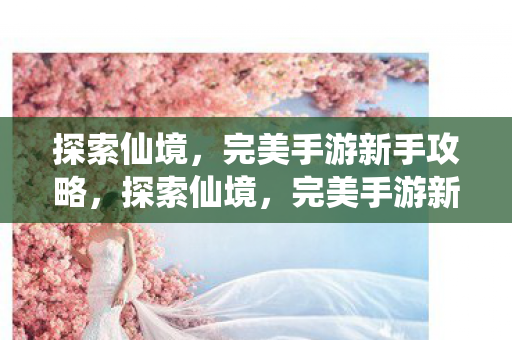 探索仙境，完美手游新手攻略，探索仙境，完美手游新手攻略