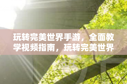 玩转完美世界手游，全面教学视频指南，玩转完美世界手游，全面教学视频指南