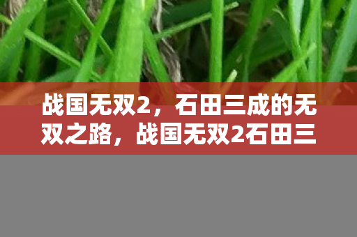 石田三成的无双之路图片