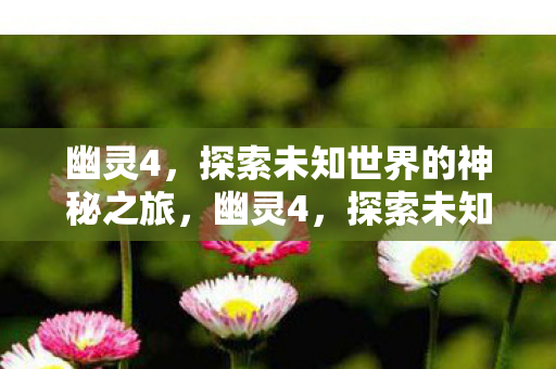 探索未知世界的神秘之旅图片