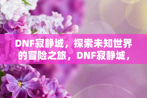 DNF寂静城,探索未知世界的冒险之旅,DNF寂静城,探索未知世界的冒险之旅 DNF寂静城,探索未知世界的冒险之旅,DNF寂静城,探索未知世界的冒险之旅