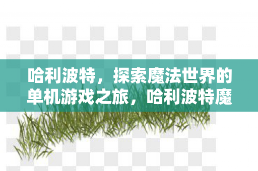 哈利波特,探索魔法世界的单机游戏之旅,哈利波特魔法世界探索之旅,单机游戏新体验 哈利波特,探索魔法世界的单机游戏之旅,哈利波特魔法世界探索之旅,单机游戏新体验