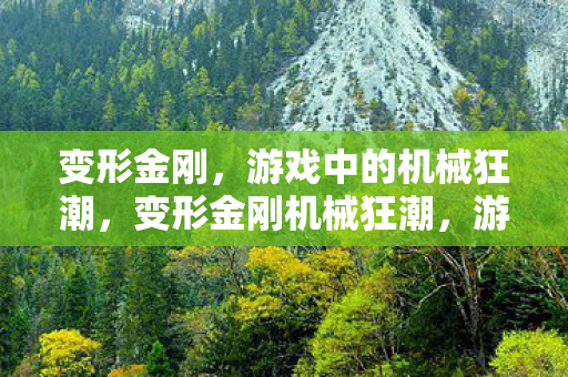 变形金刚,游戏中的机械狂潮,变形金刚机械狂潮,游戏中的机械盛宴 变形金刚,游戏中的机械狂潮,变形金刚机械狂潮,游戏中的机械盛宴