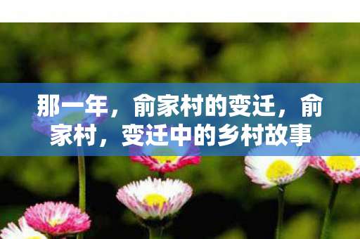 那一年，俞家村的变迁，俞家村，变迁中的乡村故事