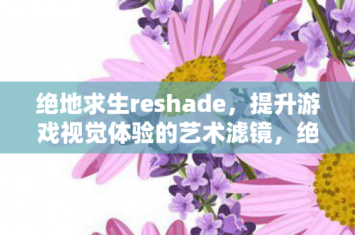 绝地求生reshade,提升游戏视觉体验的艺术滤镜,绝地求生reshade,艺术滤镜打造极致游戏视觉体验 绝地求生reshade,提升游戏视觉体验的艺术滤镜,绝地求生reshade,艺术滤镜打造极致游戏视觉体验