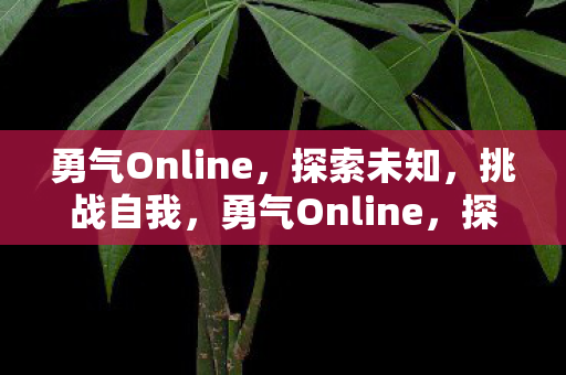 勇气Online图片