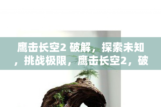 鹰击长空2 破解图片