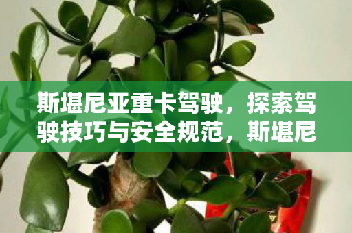 探索驾驶技巧与安全规范图片