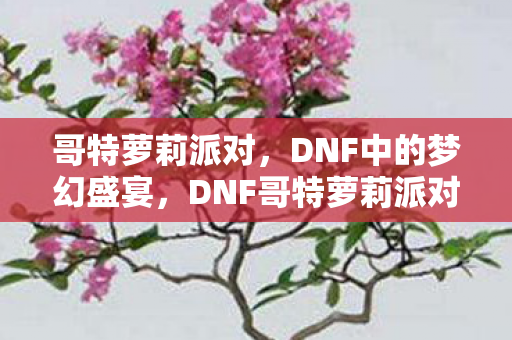 哥特萝莉派对,DNF中的梦幻盛宴,DNF哥特萝莉派对,梦幻盛宴的狂欢 哥特萝莉派对,DNF中的梦幻盛宴,DNF哥特萝莉派对,梦幻盛宴的狂欢