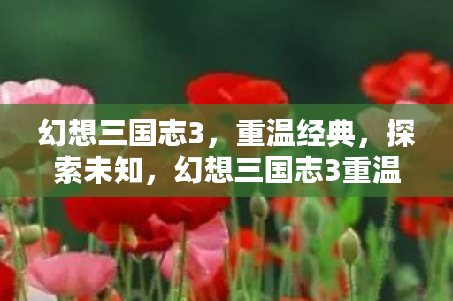 幻想三国志3，重温经典，探索未知，幻想三国志3重温经典，探索未知之旅