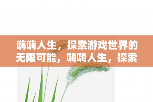 嗨嗨人生,探索游戏世界的无限可能,嗨嗨人生,探索游戏世界的无限可能 嗨嗨人生,探索游戏世界的无限可能,嗨嗨人生,探索游戏世界的无限可能